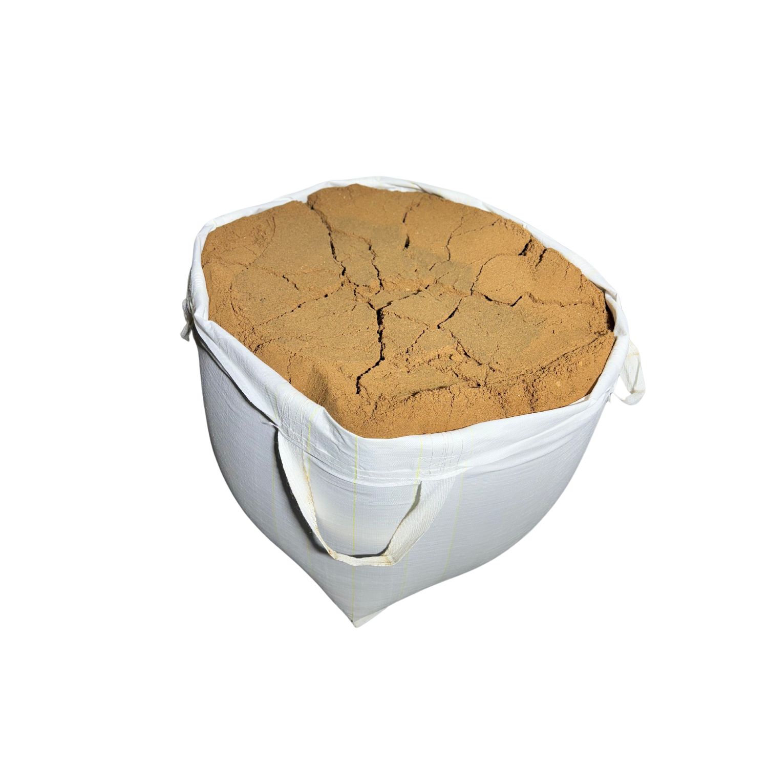 Your paragraph text (19)